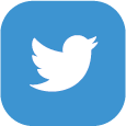twitter icon